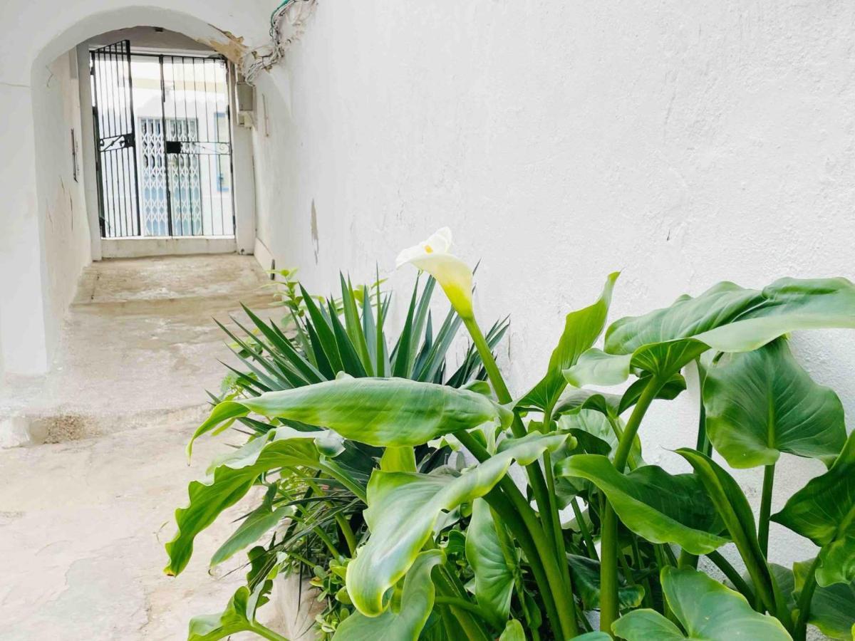 Apartamento Alazul Campillo Conil De La Frontera Esterno foto